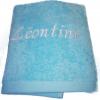 serviette de toilette Turquoise