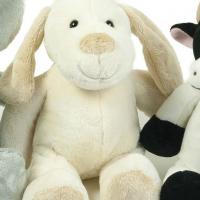 Rufus dog rufus le chien